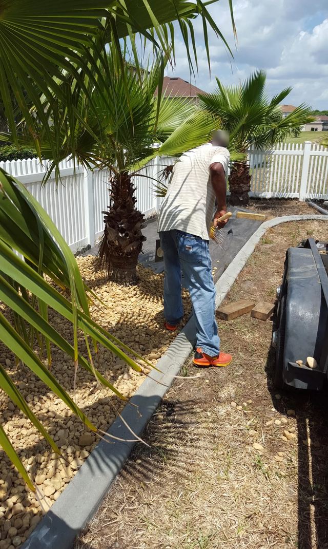 Crew member edging a bed of fan palms along a white vinyl fence