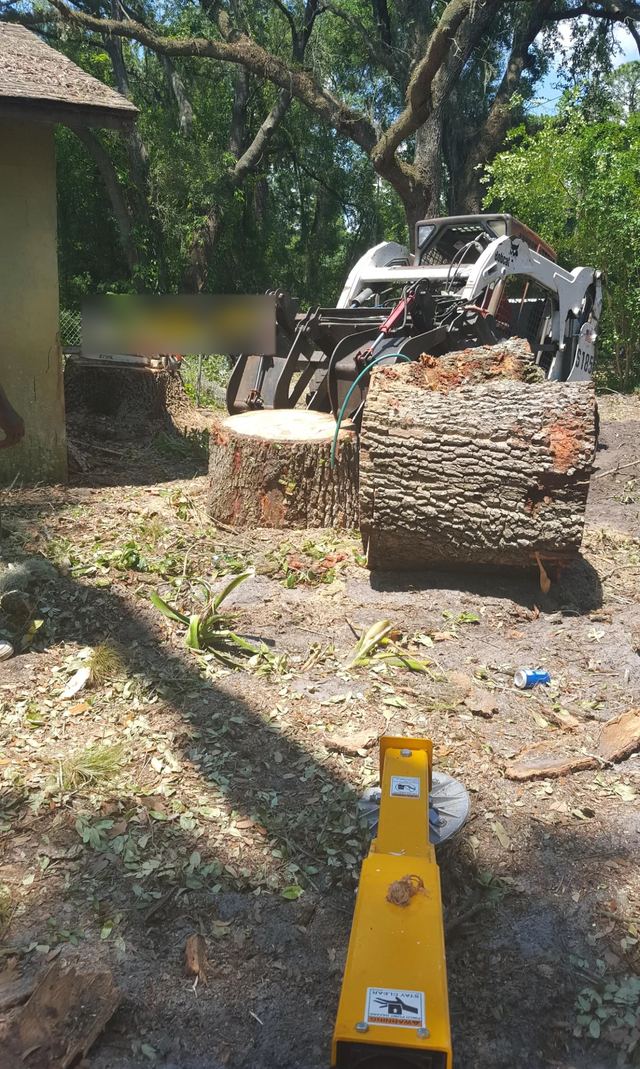 Loader with a grapple next to a cut oak log and a fresh stump